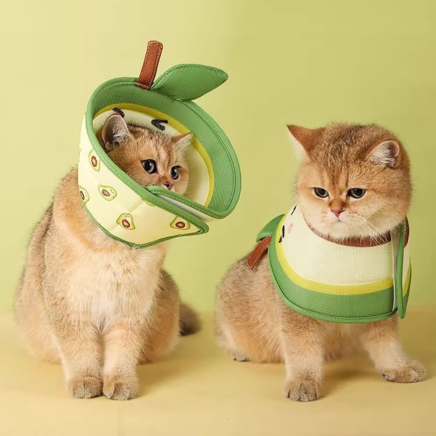 Soft Apple-Shaped Cat Cone Collar – Adjustable Post-Surgery Healing Collar (Fast Shipping)