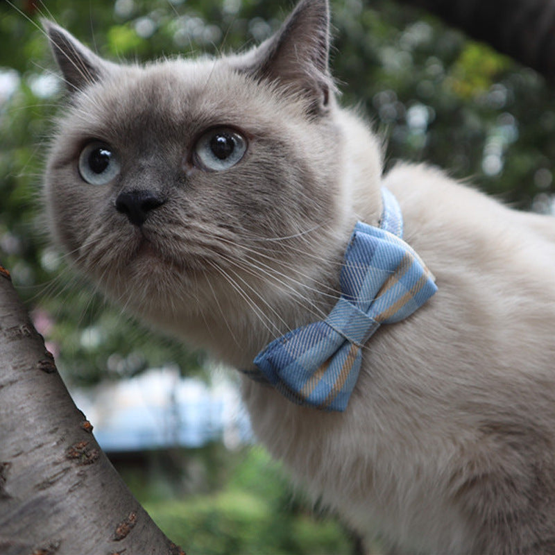 Chic Plaid Bow Collar with Bell – Adjustable & Stylish
