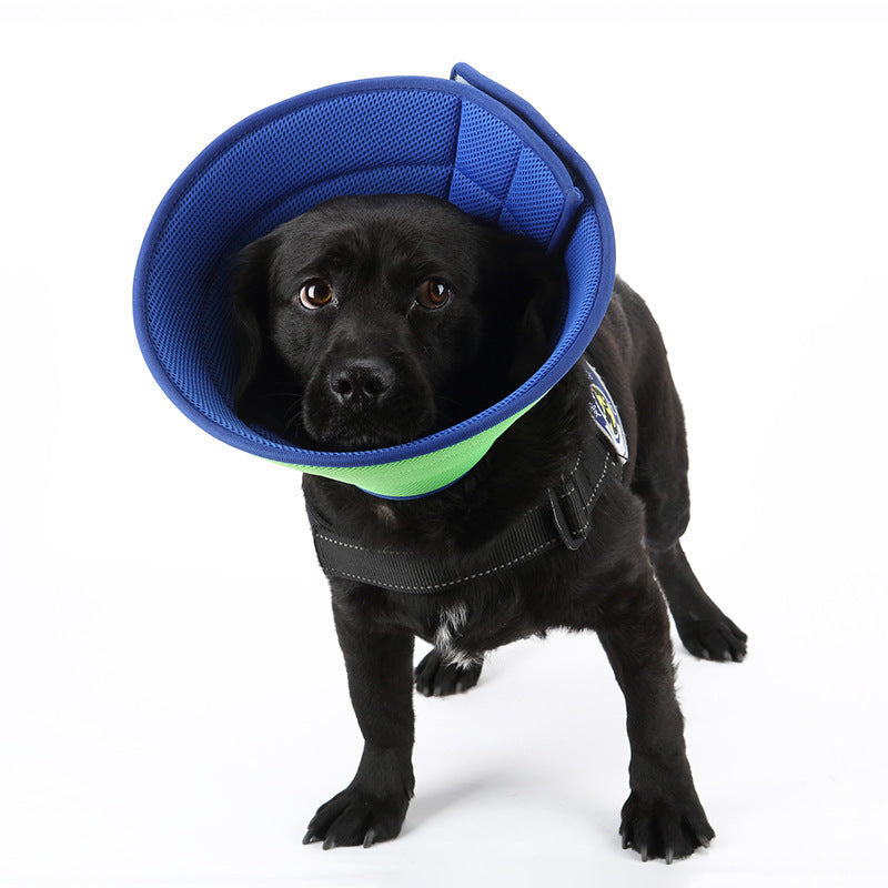 ComfortFit™ Anti-Bite Recovery Collar – Soft Edge Medical Cone for Cats & Small Dogs