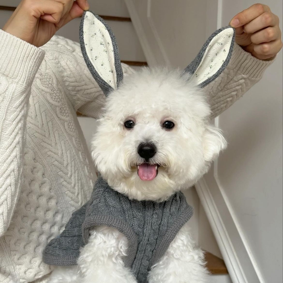 Simple Wool Cape Shawl for Pets – Stylish & Cozy