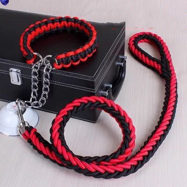 Durable Nylon Leash & Adjustable Collar Set – For Medium & Large Dogs