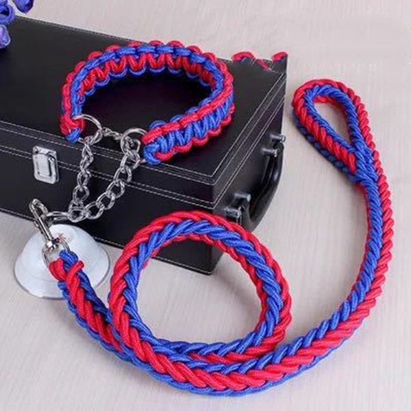 Durable Nylon Leash & Adjustable Collar Set – For Medium & Large Dogs
