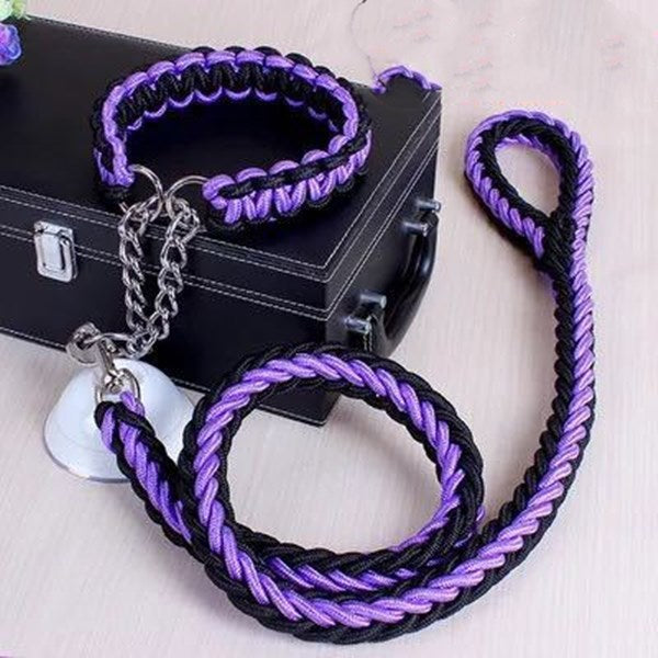 Durable Nylon Leash & Adjustable Collar Set – For Medium & Large Dogs