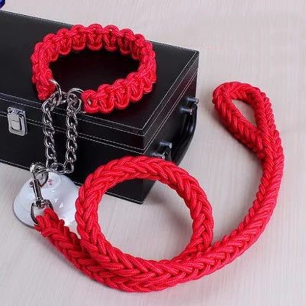 Durable Nylon Leash & Adjustable Collar Set – For Medium & Large Dogs