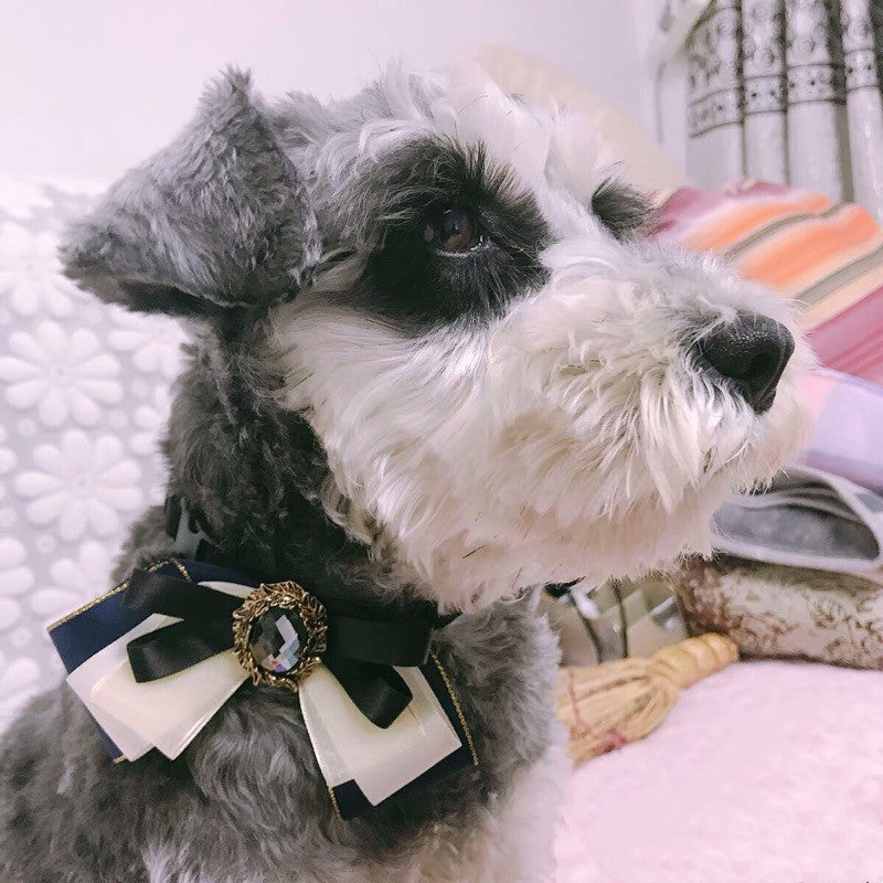 Little Gentleman Flower Collar – Handmade Bow Tie Accessory for Pets