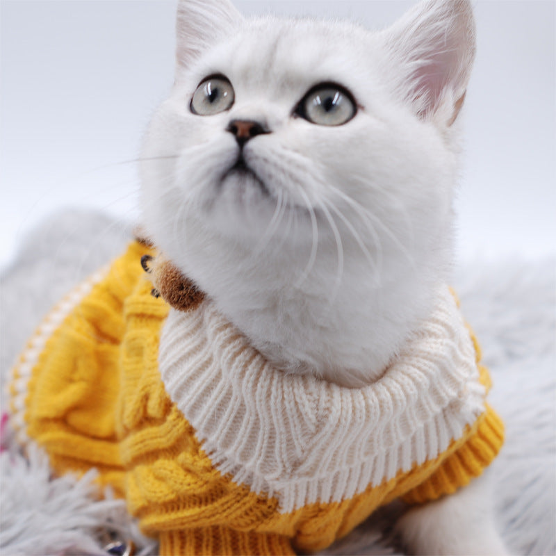 Twist Knit Button Pet Sweater – Soft & Stylish for Winter Days