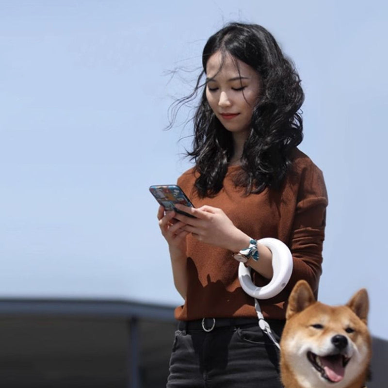 Light-Up Retractable Dog Leash – 3M