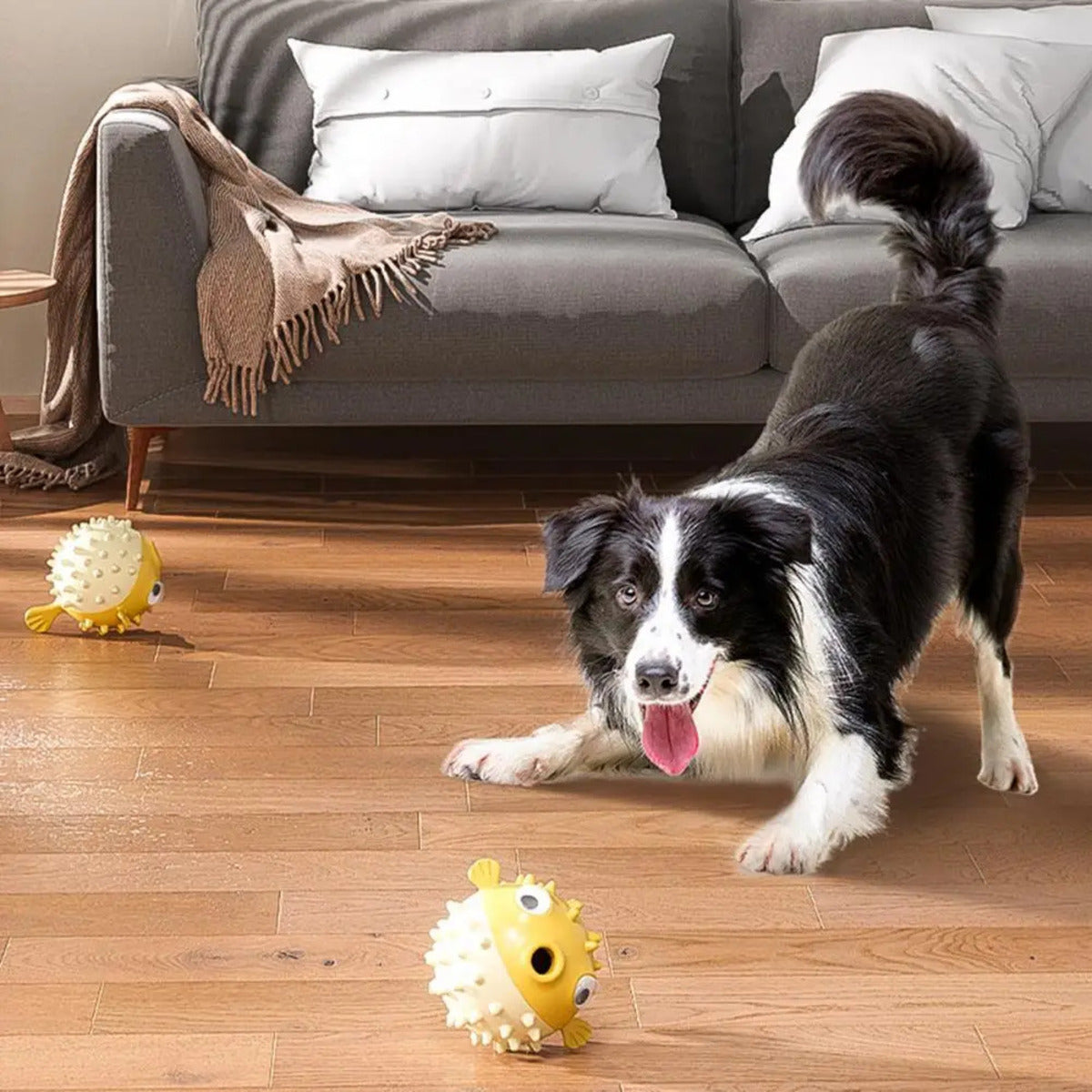 Durable Squeaky Dog Chew Toy – Fish-Shaped for Teething & Anxiety Relief (Fast Shipping)