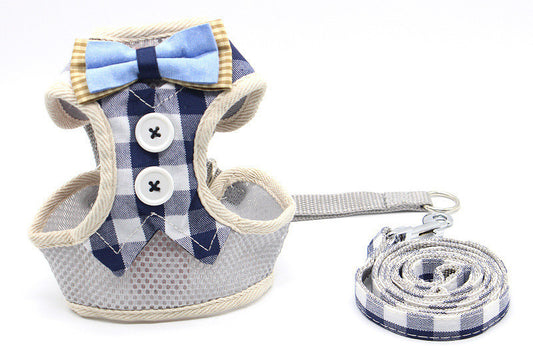 Classic Harness Set – Adjustable, Breathable & Stylish