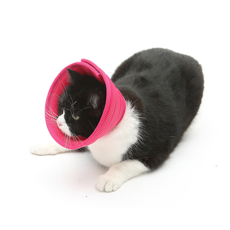 ComfortFit™ Anti-Bite Recovery Collar – Soft Edge Medical Cone for Cats & Small Dogs