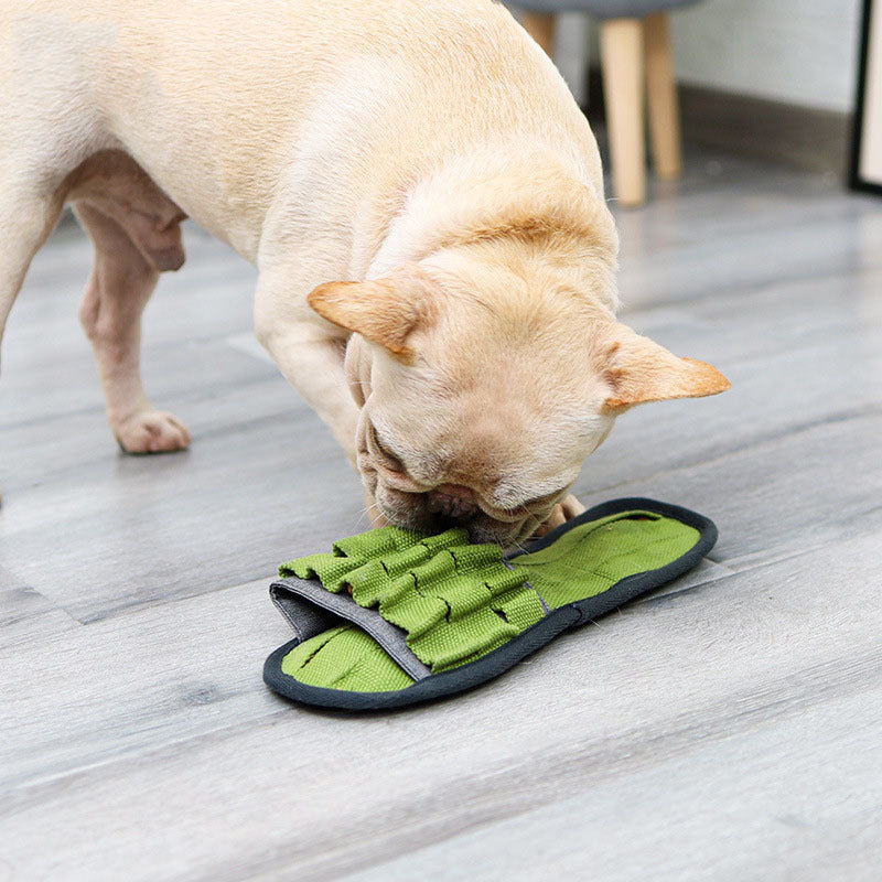 Durable Bite-Resistant Squeaky Dog Toy – Tough & Fun for Active Pets