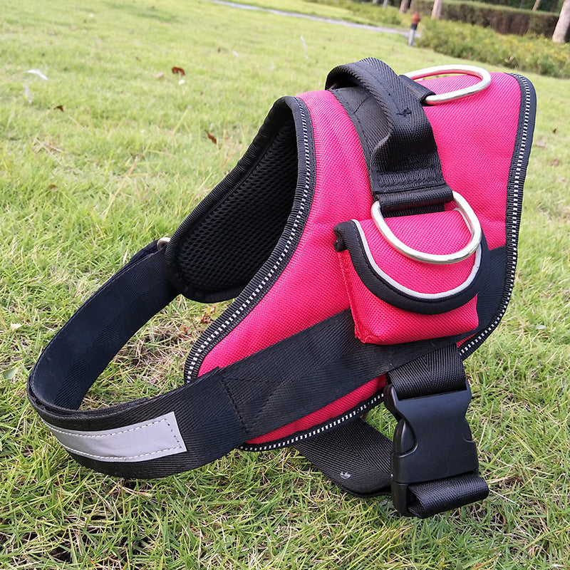 Comfort Fit Dog Harness – Stylish, Secure, and Easy to Wear