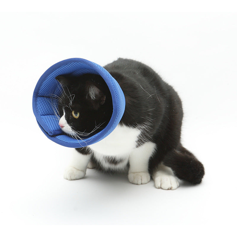 ComfortFit™ Anti-Bite Recovery Collar – Soft Edge Medical Cone for Cats & Small Dogs