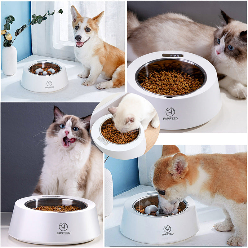 Smart Pet Feeder Bowl – LED Weighing Spoon & Food Measuring Tool for Balanced Feeding