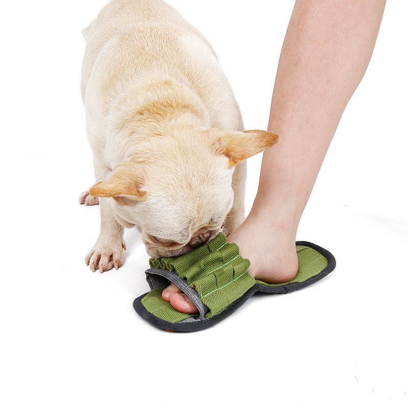 Durable Bite-Resistant Squeaky Dog Toy – Tough & Fun for Active Pets
