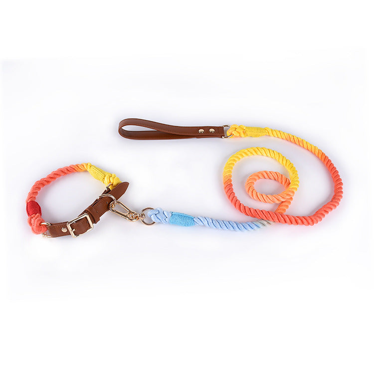 Woven Leather & Cotton Rope Leash Set – Bold Style Meets Everyday Strength