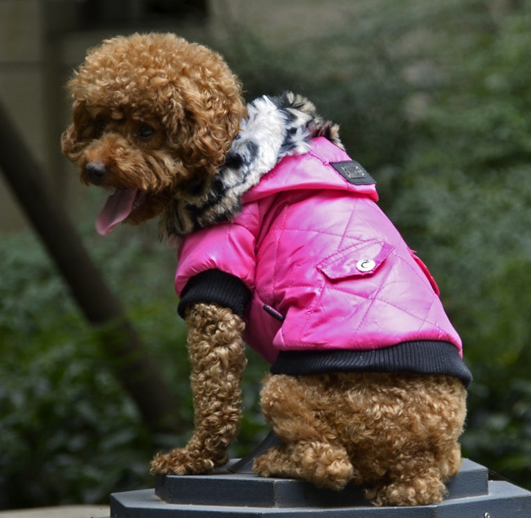 Chic Winter Hooded Dog Coat – Luxe Puffer with Faux Fur Collar
