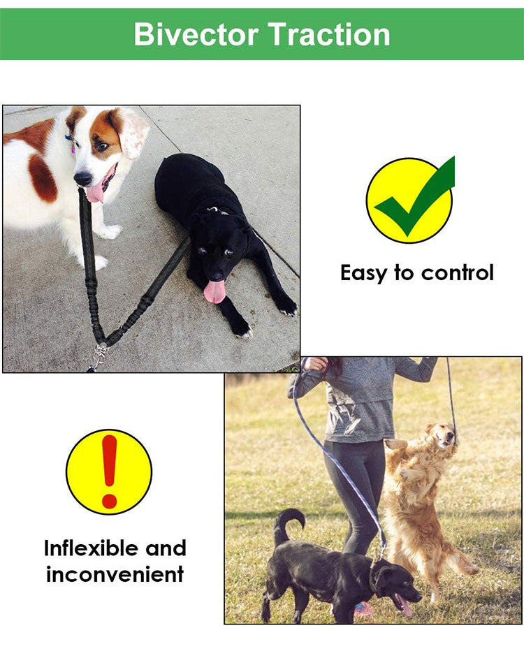 2-in-1 Dual Dog Leash – Tangle-Free Nylon Split Lead