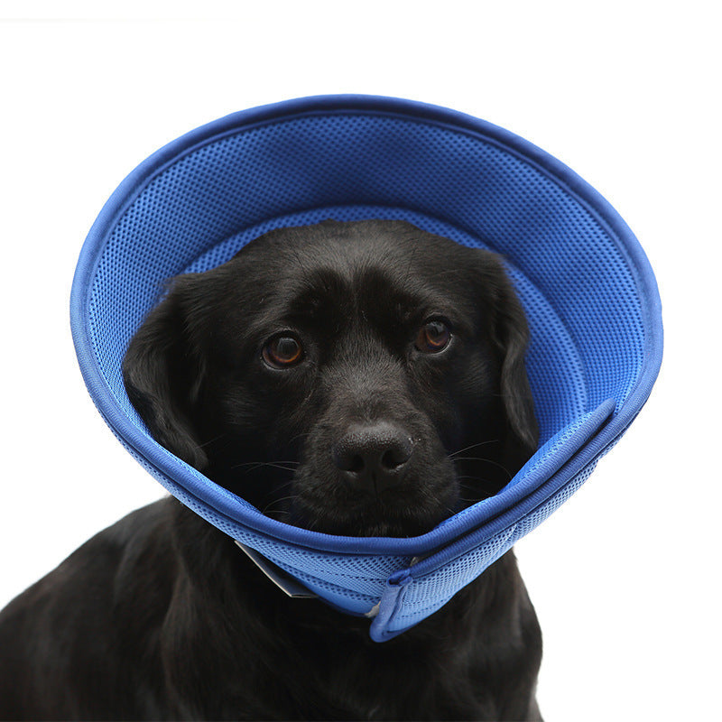 ComfortFit™ Anti-Bite Recovery Collar – Soft Edge Medical Cone for Cats & Small Dogs