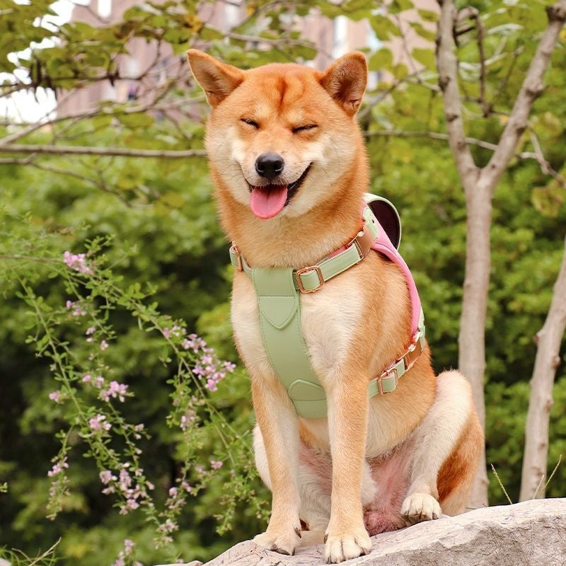 XLarge Pet Vest Style Chest Strap