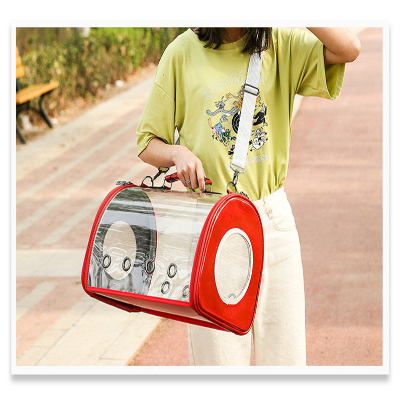 ClearView Geometric Pet Carrier
