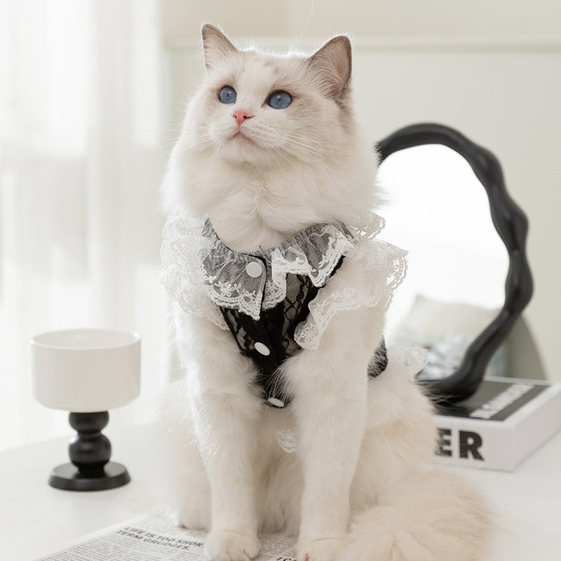Elegant Lace Pet Harness Dress – Black with Gold Heart Detail