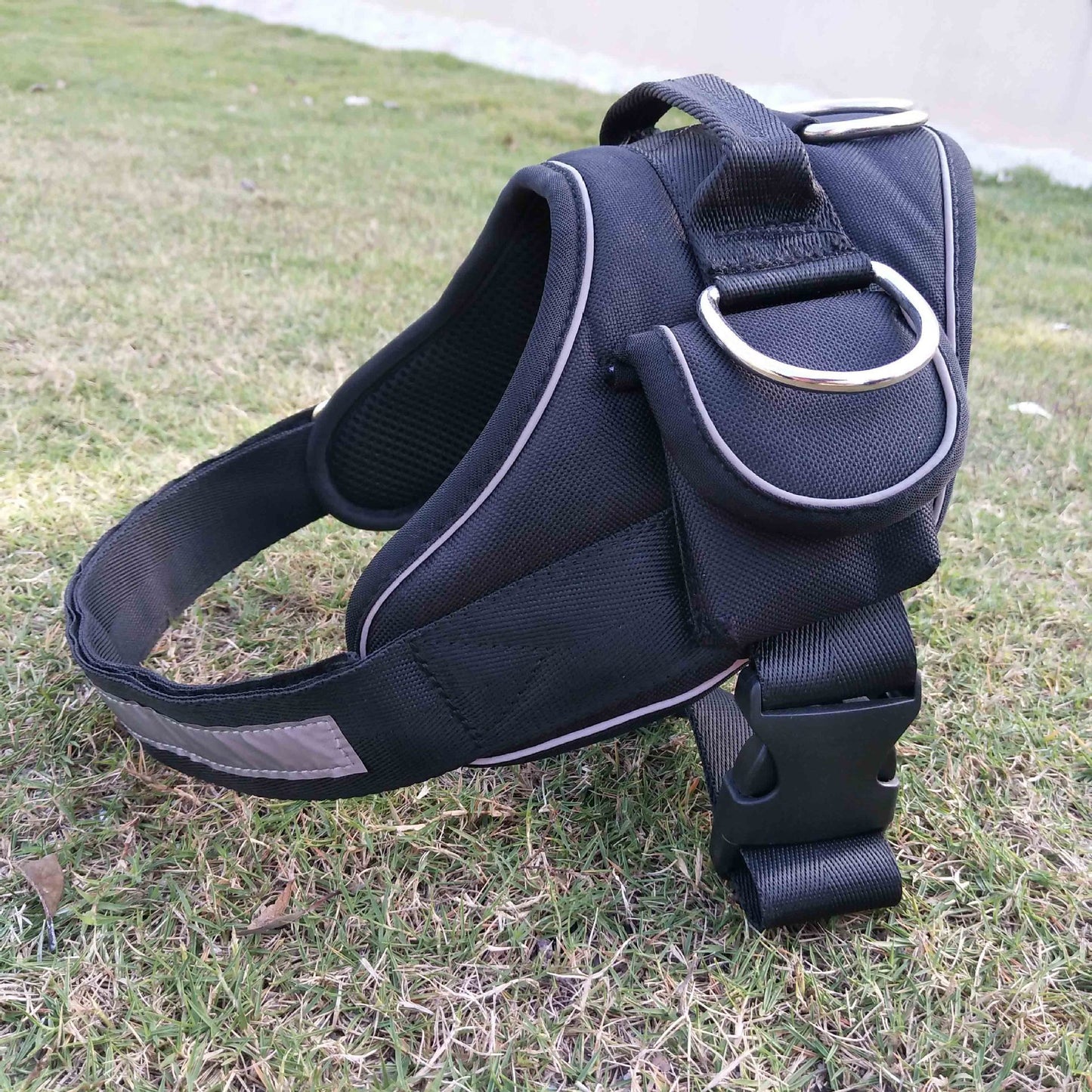 Comfort Fit Dog Harness – Stylish, Secure, and Easy to Wear