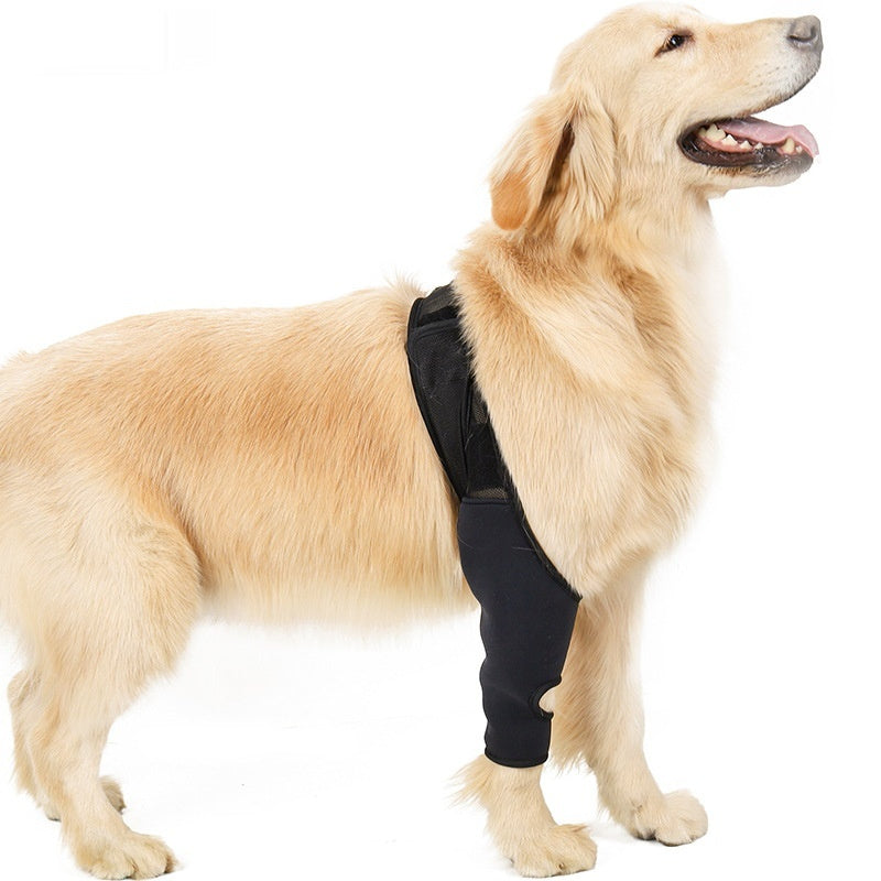 Supportive Dog Leg Brace – Adjustable Knee & Joint Protector for Post-Surgery or Injury Recovery