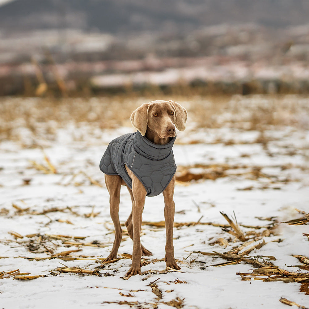 Luxury Fleece-Lined Winter Coat – Tailored Cold-Weather Jacket for Refined Pets