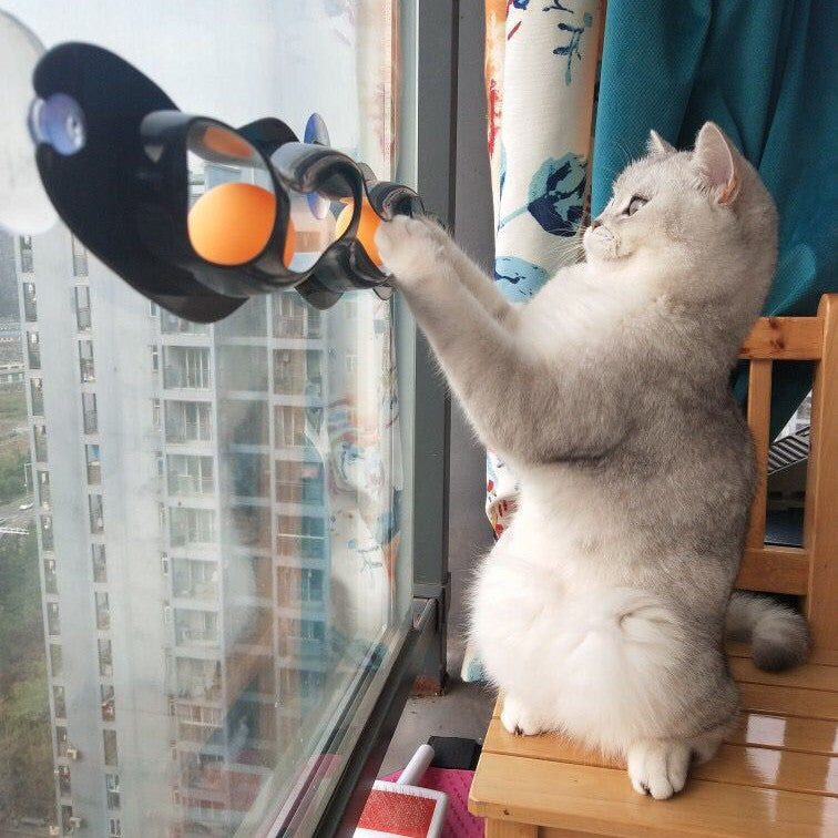 Cat Track Ball – Interactive Windowsill Toy for Curious Climbers