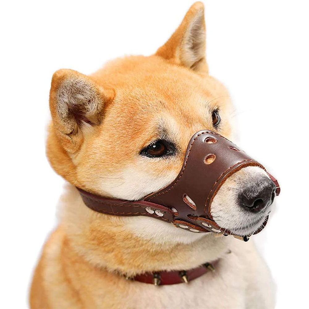 Signature Leather Dog Muzzle – Handcrafted Elegance (Fast Shipping)