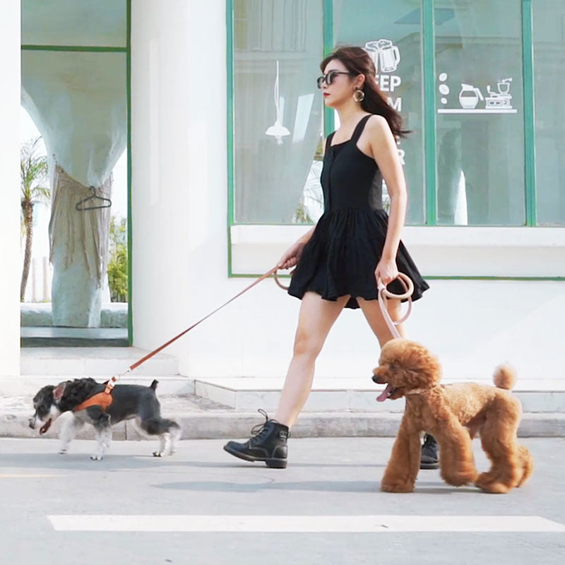 Super-Fiber Pet Leash & Harness Set with Beechwood Handle