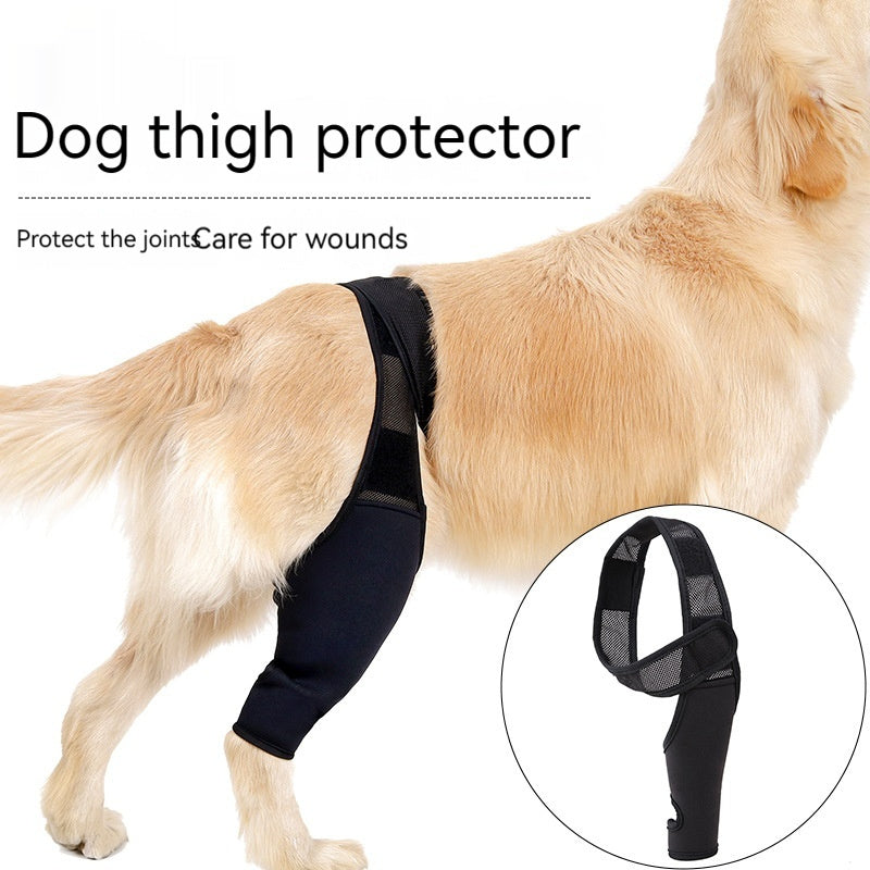 Supportive Dog Leg Brace – Adjustable Knee & Joint Protector for Post-Surgery or Injury Recovery