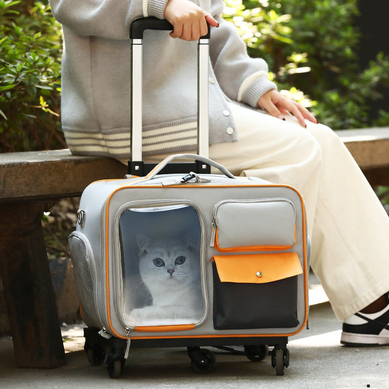 3-in-1 Pet Carrier – Convertible Trolley, Backpack & Shoulder Bag for Travel