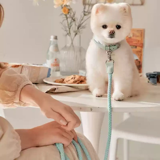 Mini Leather Collar & Leash Set – Anti-Bite Design for Small Pets