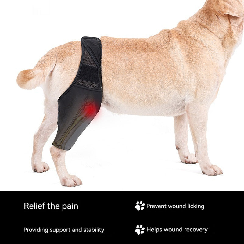 Supportive Dog Leg Brace – Adjustable Knee & Joint Protector for Post-Surgery or Injury Recovery