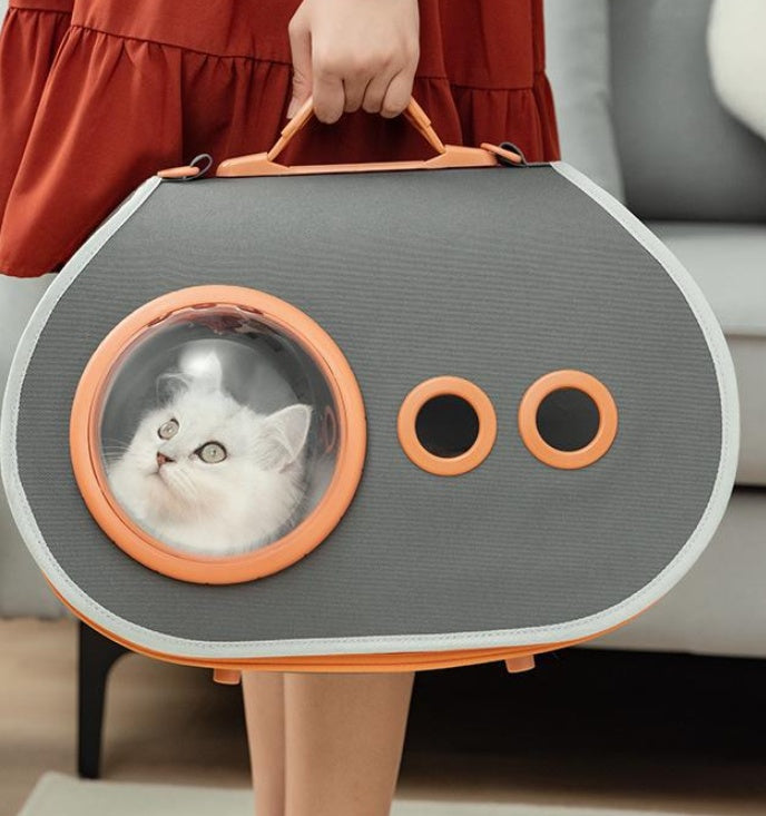 Capsule Bubble Pet Carrier – Space Pod for Cats and Small Dogs