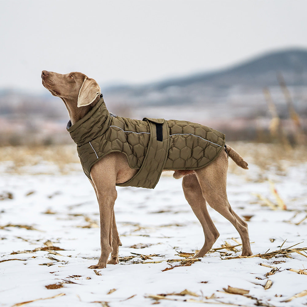 Luxury Fleece-Lined Winter Coat – Tailored Cold-Weather Jacket for Refined Pets