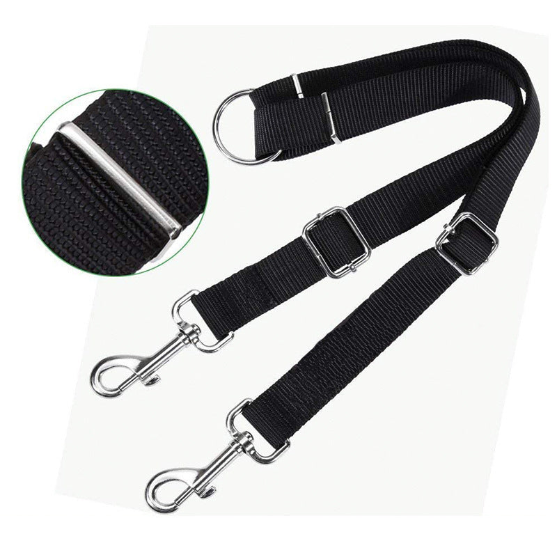 2-in-1 Dual Dog Leash – Tangle-Free Nylon Split Lead