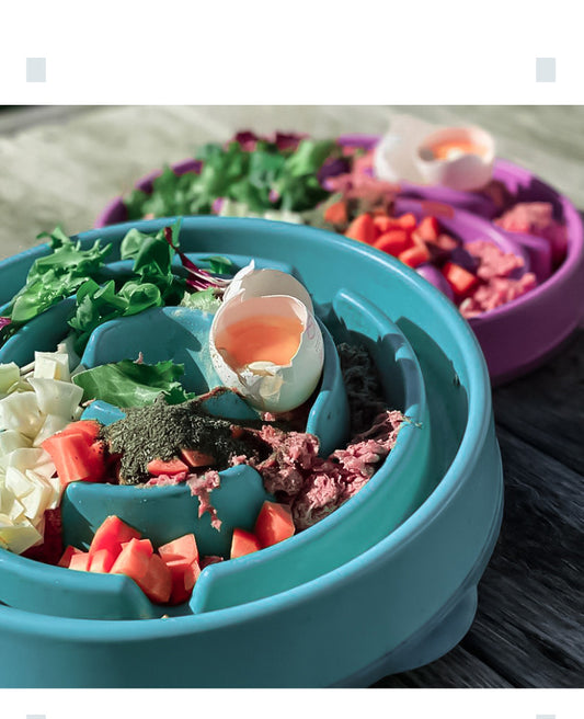 Bloom Slow Feeder Bowl – Anti-Choke Design for Healthy Mealtimes
