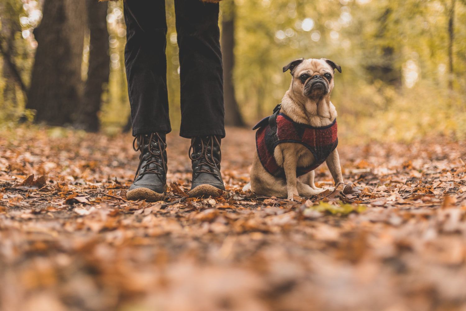 Walk in Style