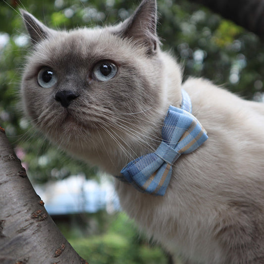 Chic Plaid Bow Collar with Bell – Adjustable & Stylish