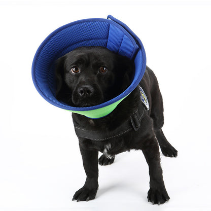 ComfortFit™ Anti-Bite Recovery Collar – Soft Edge Medical Cone for Cats & Small Dogs