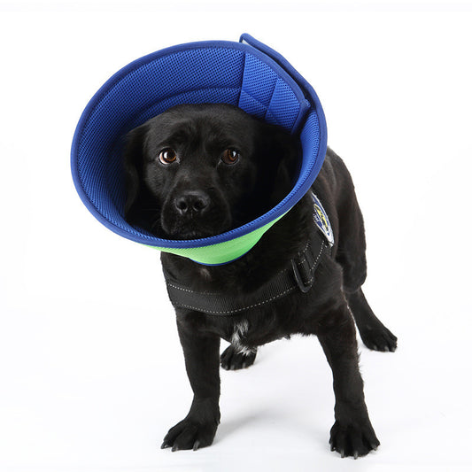 ComfortFit™ Anti-Bite Recovery Collar – Soft Edge Medical Cone for Cats & Small Dogs