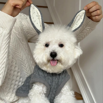 Simple Wool Cape Shawl for Pets – Stylish & Cozy