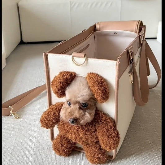 Teddy Buddy 3-in-1 Pet Travel Bag
