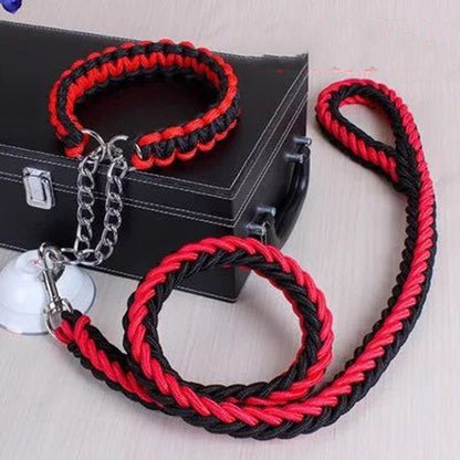 Durable Nylon Leash & Adjustable Collar Set – For Medium & Large Dogs