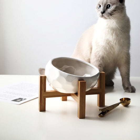 Elevé™ Ceramic Pet Bowl – Angled and Elevated