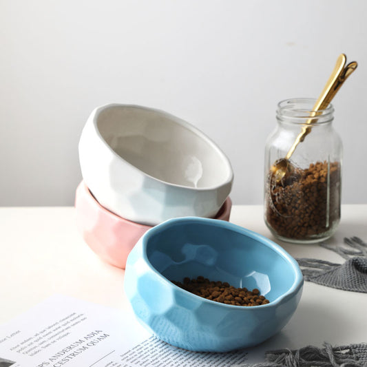 Elevé™ Ceramic Pet Bowl – Angled and Elevated