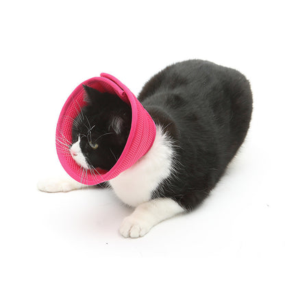 ComfortFit™ Anti-Bite Recovery Collar – Soft Edge Medical Cone for Cats & Small Dogs